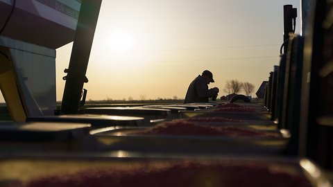 Robot Farms Are Here. What Can Farmers Expect?