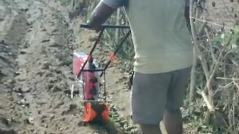 push seeder