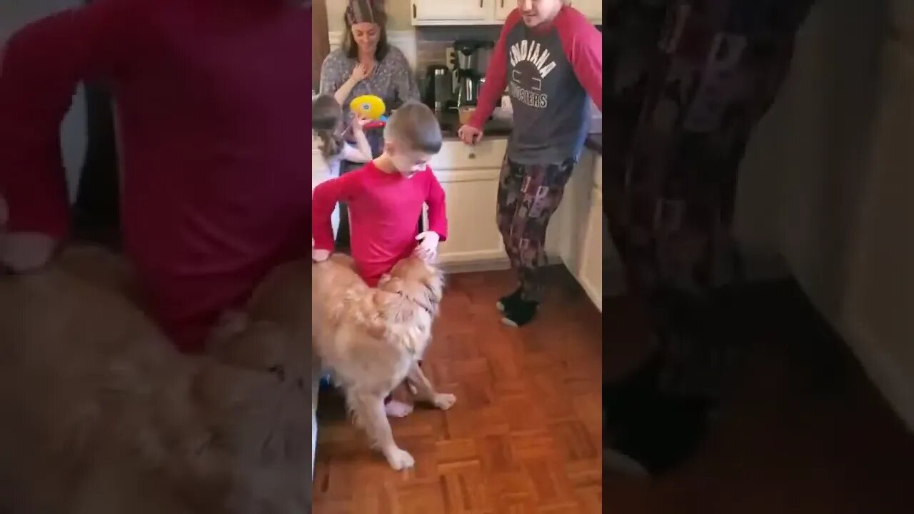 leave me doggie l#shorts l #sabircool