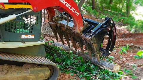 Clearing for our NEW Driveway!