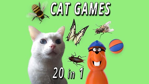 CAT GAMES: 20 IN 1