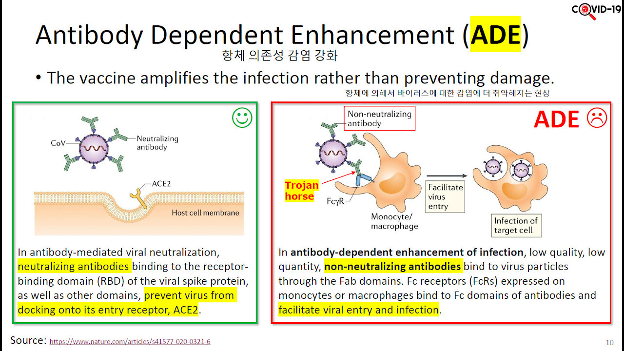 Antibody Dependent Enhancement + GATES, FAUCI CHARGED WITH GENOCIDE