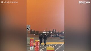 Incendi forestali rendono il cielo del Canada apocalittico