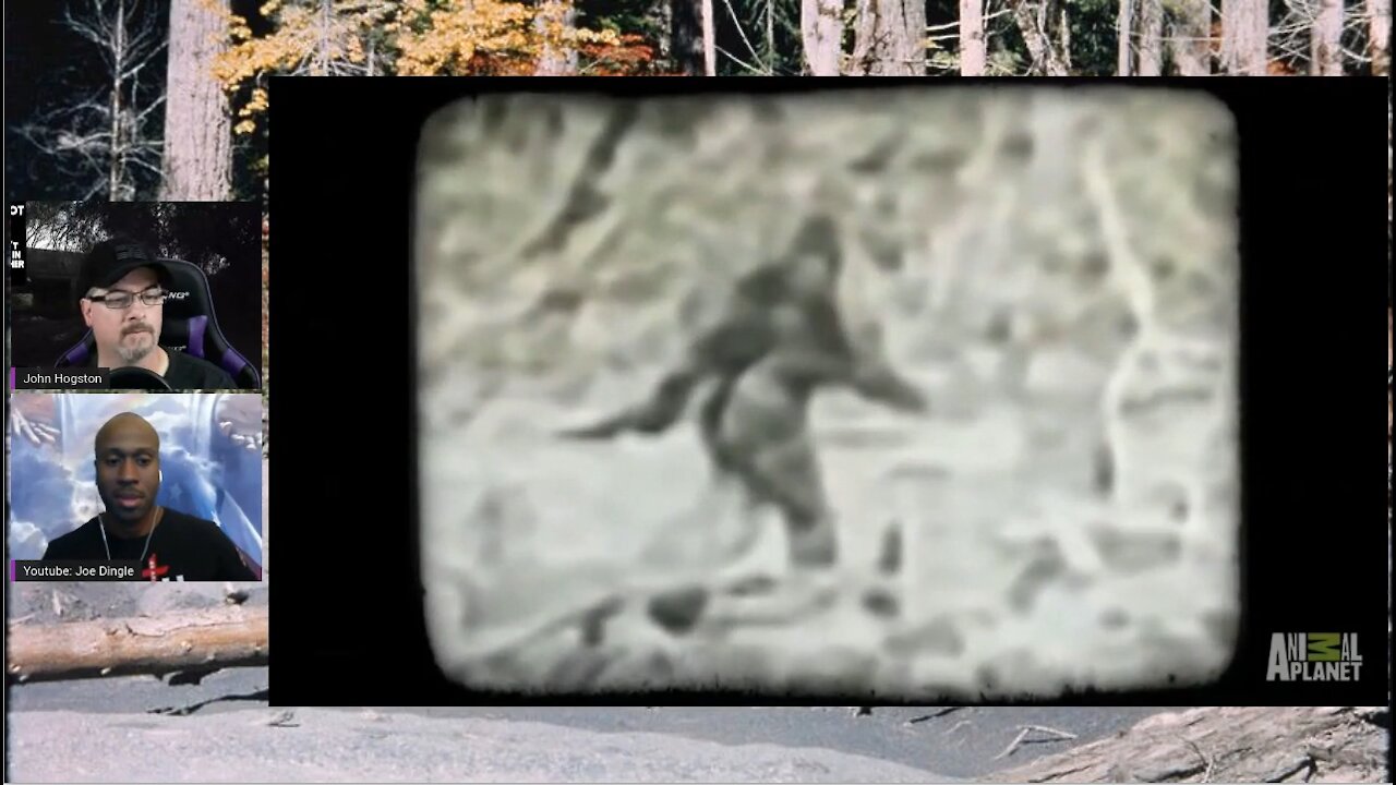 Exploring The Matrix Cryptic Creatures Series "Bigfoot Part 1"