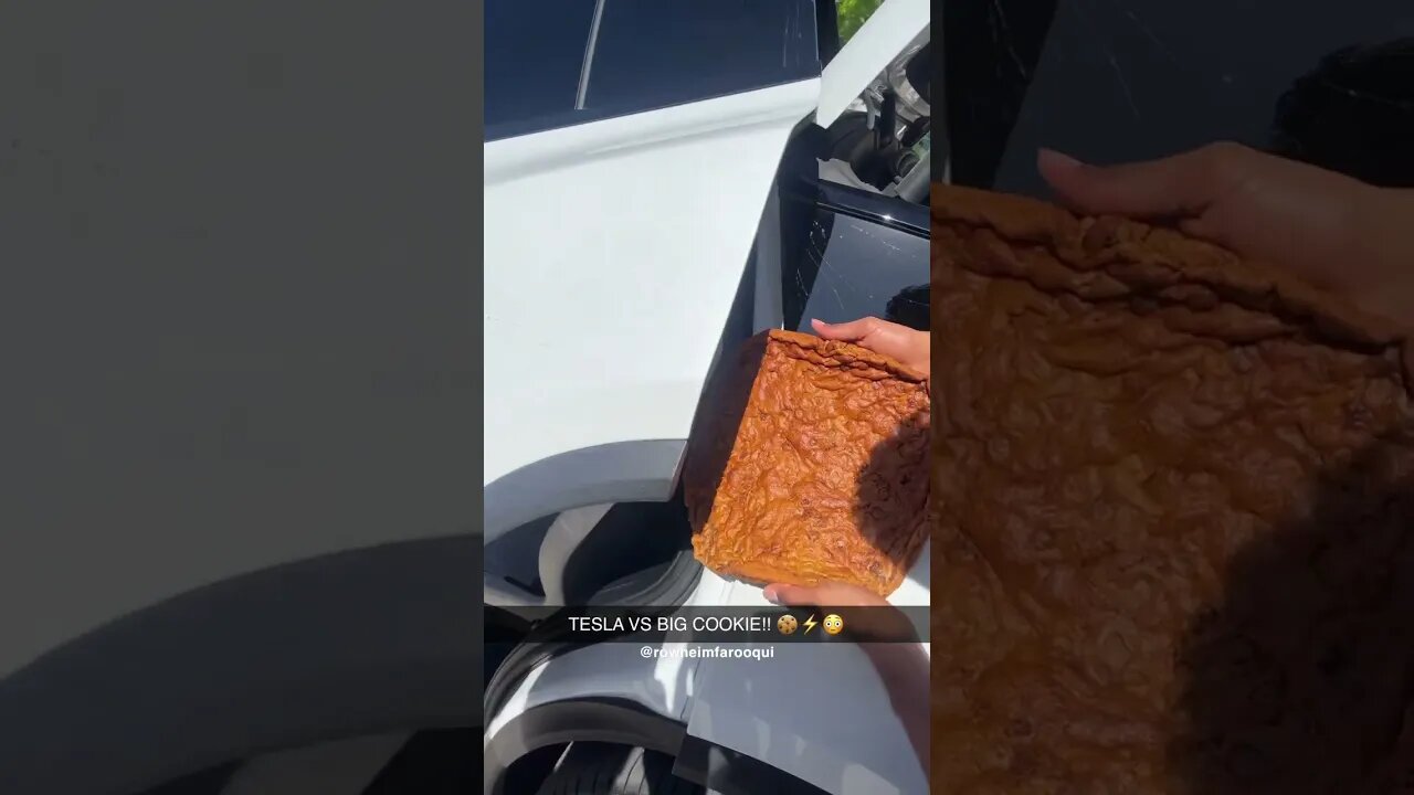 TESLA VS BIG COOKIE!! 🍪⚡️😳#shorts