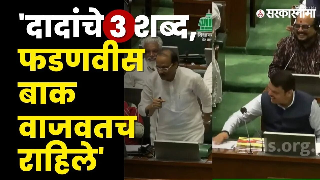 Ajit Pawar 'हो'म्हणाले, तिकडे Devendra Fadnavis यांनी जल्लोष केला | Maharashtra Vidhan sabha