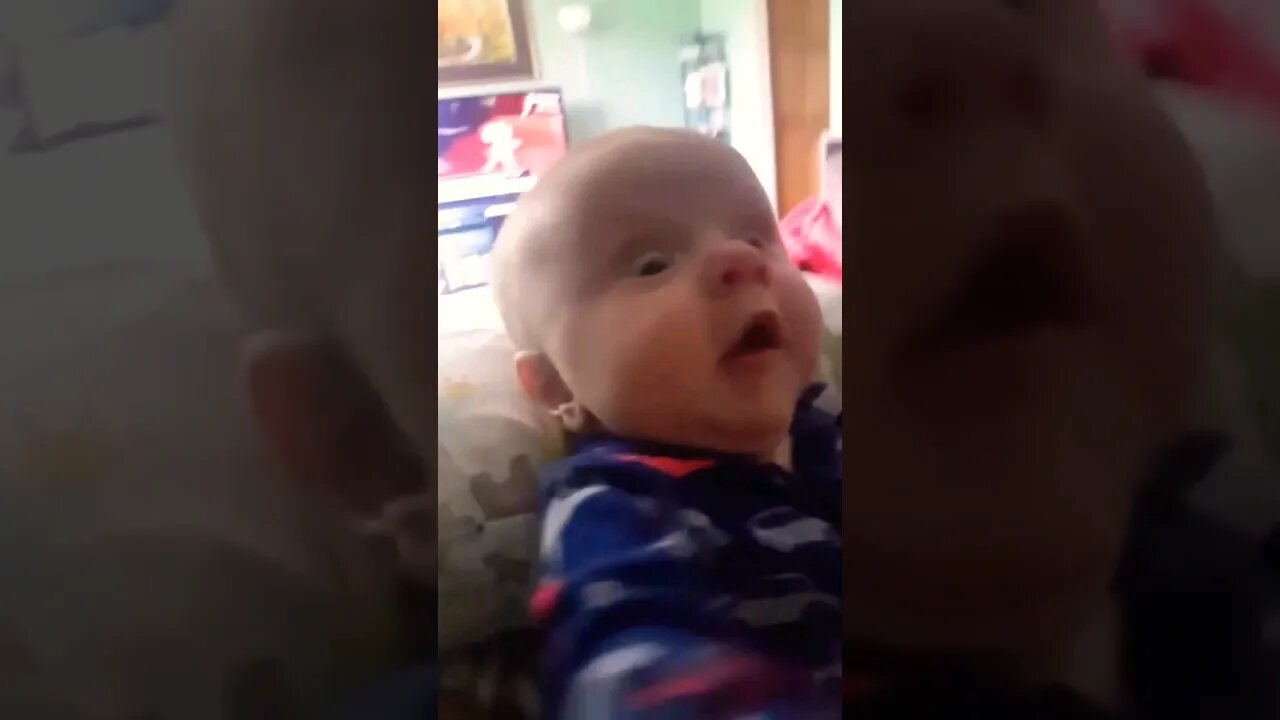 Cute Babies #funny #funnyvideo #funnyvideos #funnymoments #bloopers #cutebabies #cutebaby