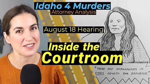 Idaho 4 / Bryan Kohberger - Attorney Analysis - What I saw at the Motions Hearing August 18