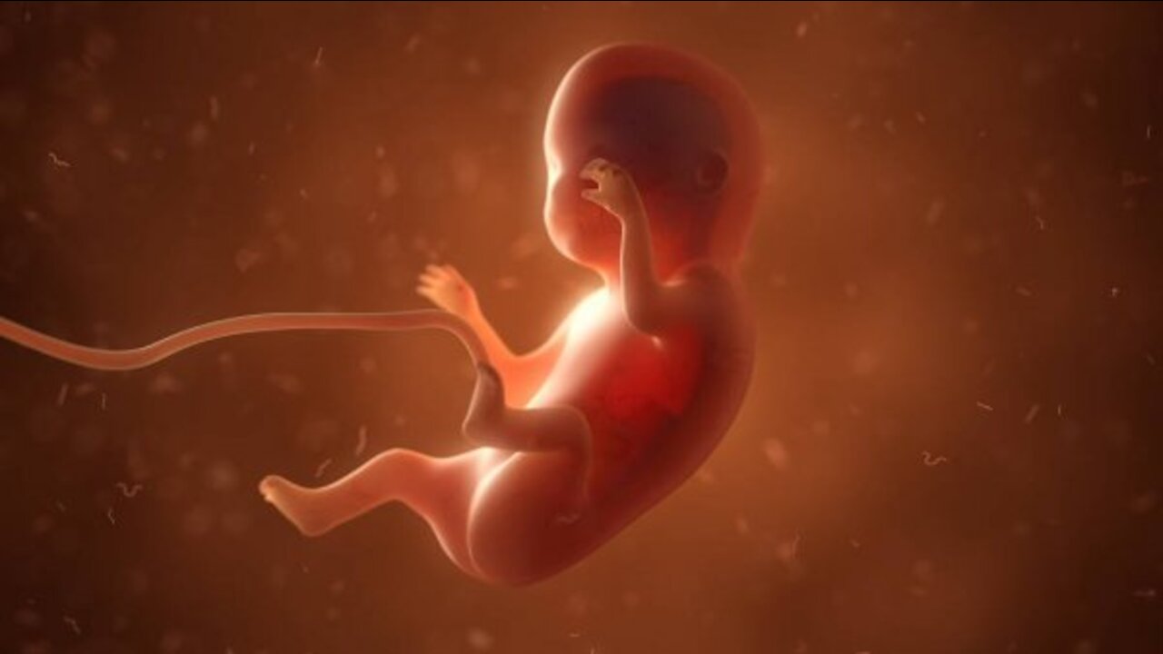 FDA Purchased Aborted Baby Parts To "Humanize Mice" As Biden HHS Reinstates Taxpayer Funded Research