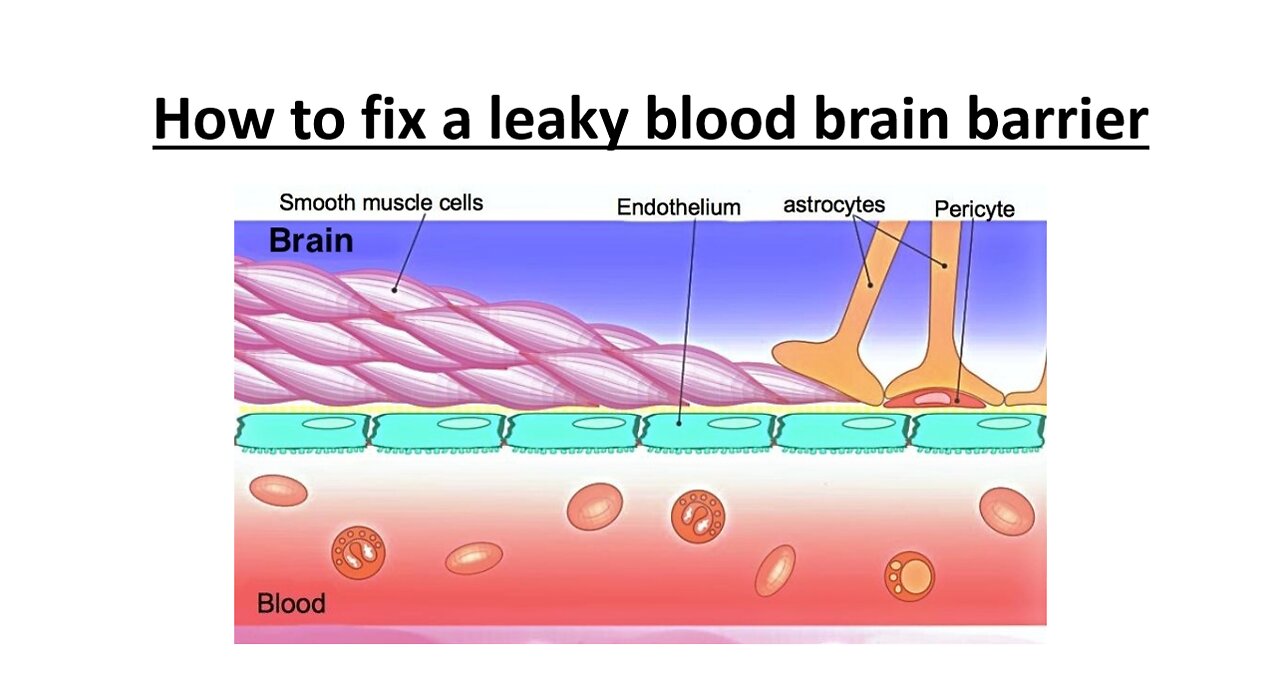 Blood Brain Barrier Disruption - Natural Treatment Options