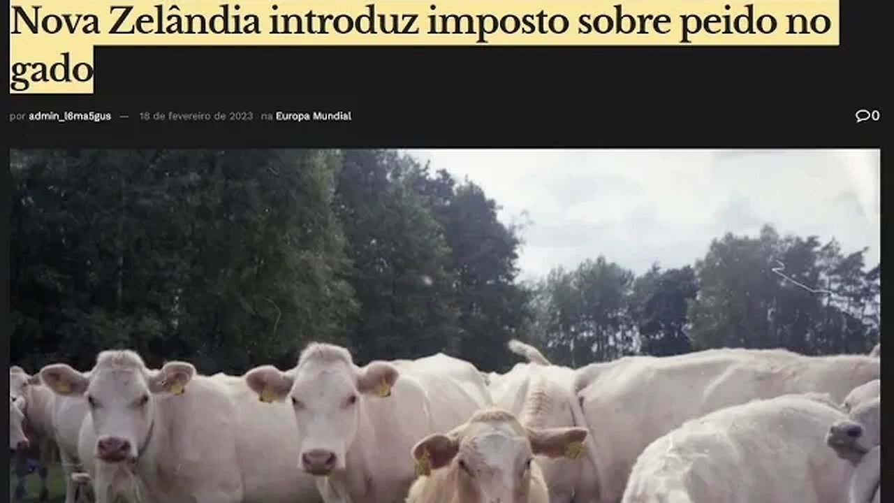 GLOBALISTAS ATACAM O GADO DE PASTAGEM