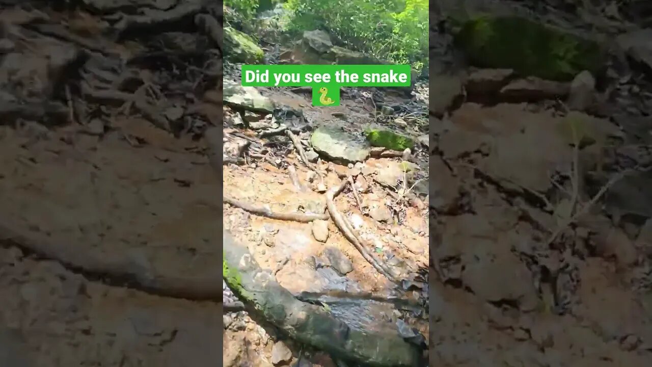 i love this place 😍😍 #shorts #nature #jungle #forest #river