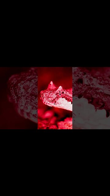 Hallucination Facts #Shorts 😲