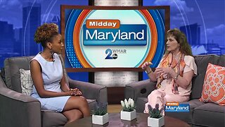 Dr. Karen Hamilton - Pet Surgery