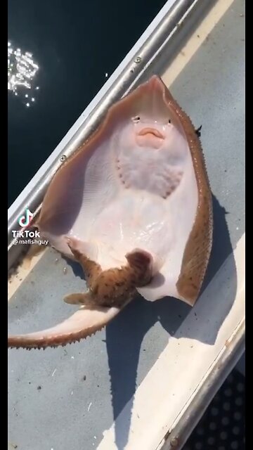 WOW Beautiful - This is for real?