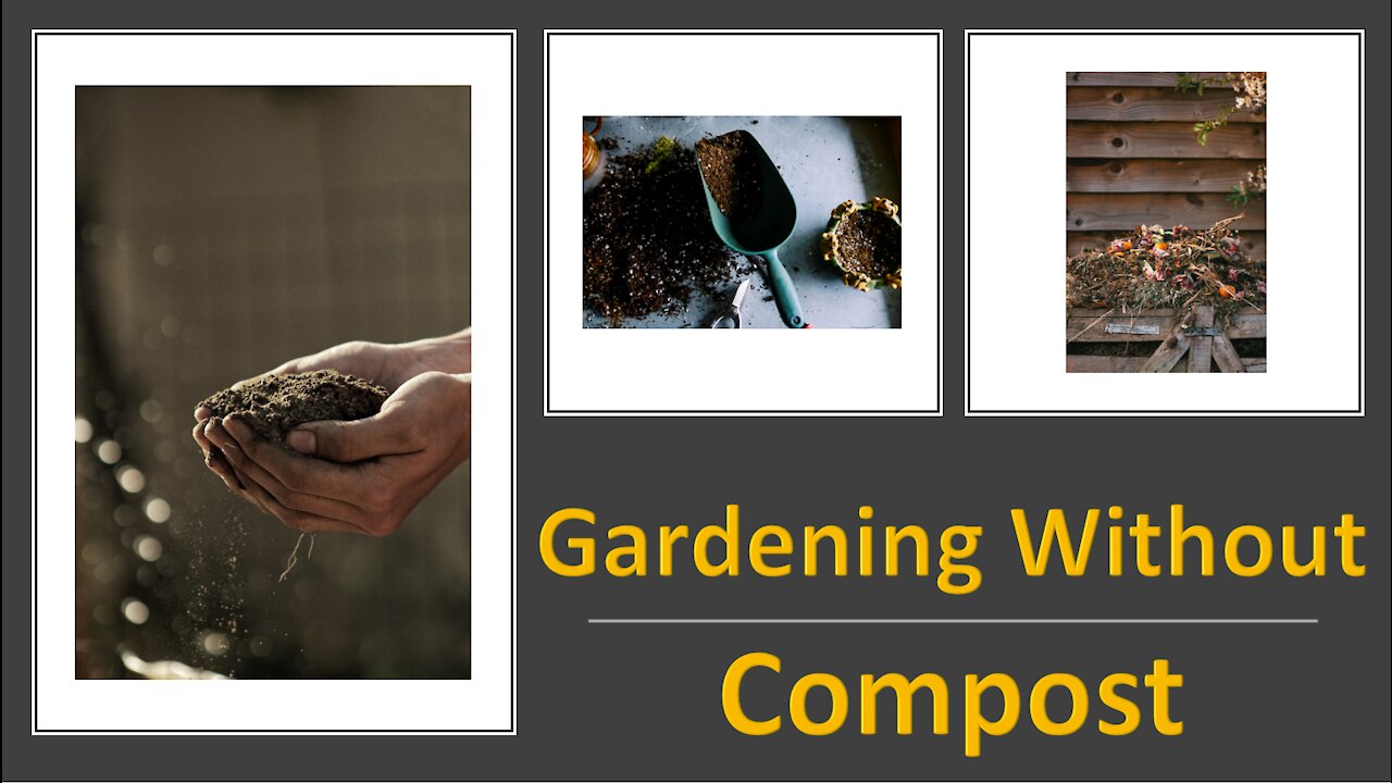 Gardening Without Compost - It's Possible and Can Be Successful!