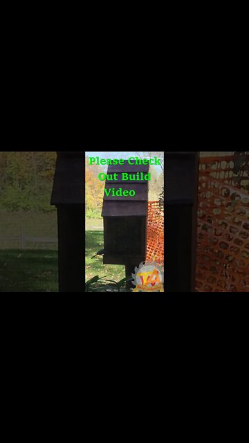 Birdfeeder Pt1 sped up 4min video #shorts