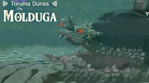 Defeating Molduga (Toruma Dunes) - The Legend of Zelda: Tears of the Kingdom