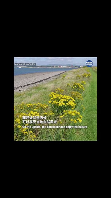 A 33-year-old submarine engineer is set to become the landlord of a pub and the king of a island