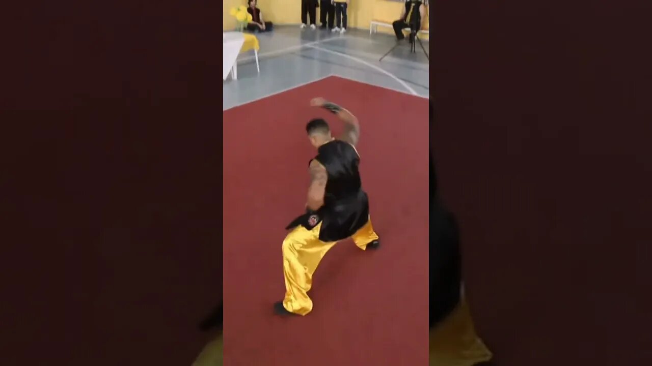 prof Flávio kung fu Campeonato Brasileiro da Liga Sanda Brasil #voodedrone