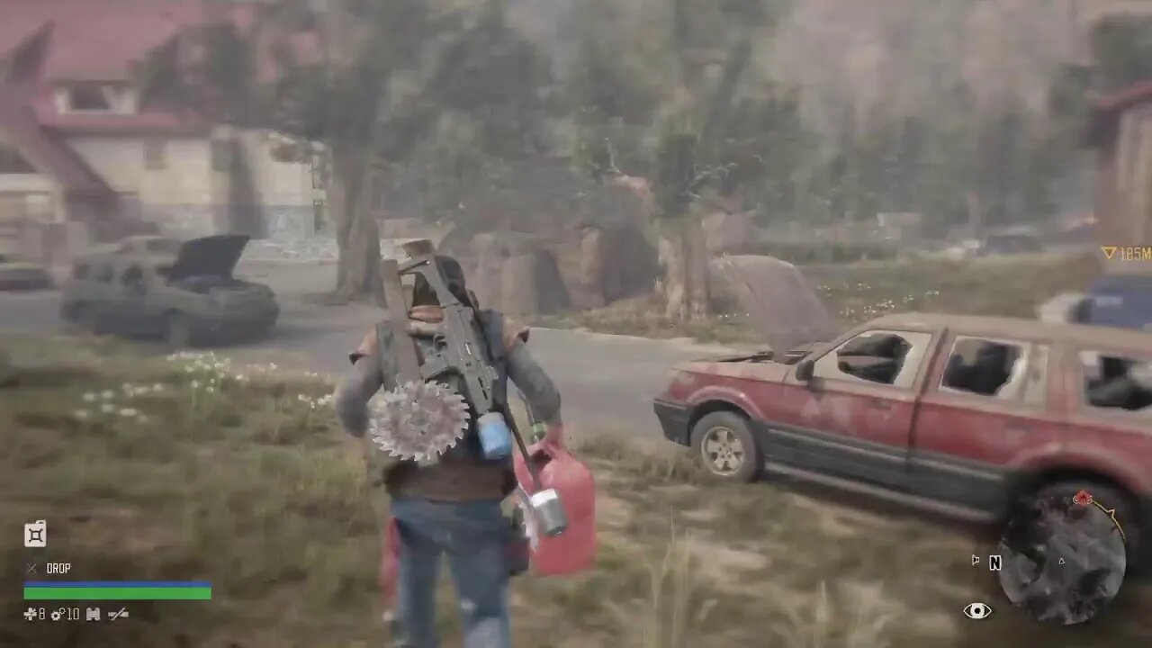 Days Gone