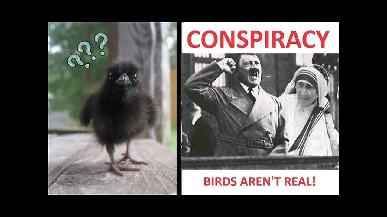 CONSPIRACY! - Birds Aren't Real & Mother Teresa was a Nazi