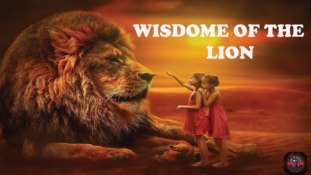 Wisdom of The Lion! Motivational Quotes