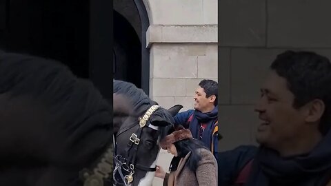 Horse head butt's tourist #horseguardsparade
