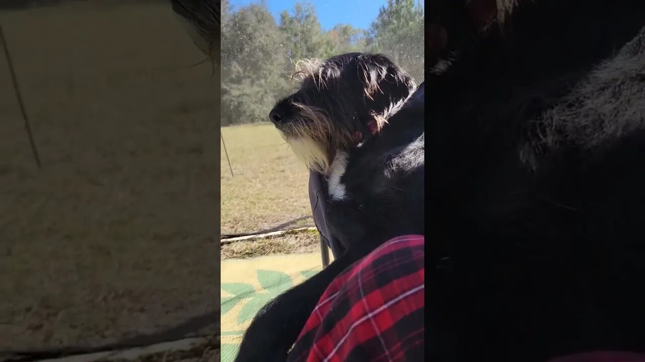 We were just chillin' , THEN THIS HAPPENED