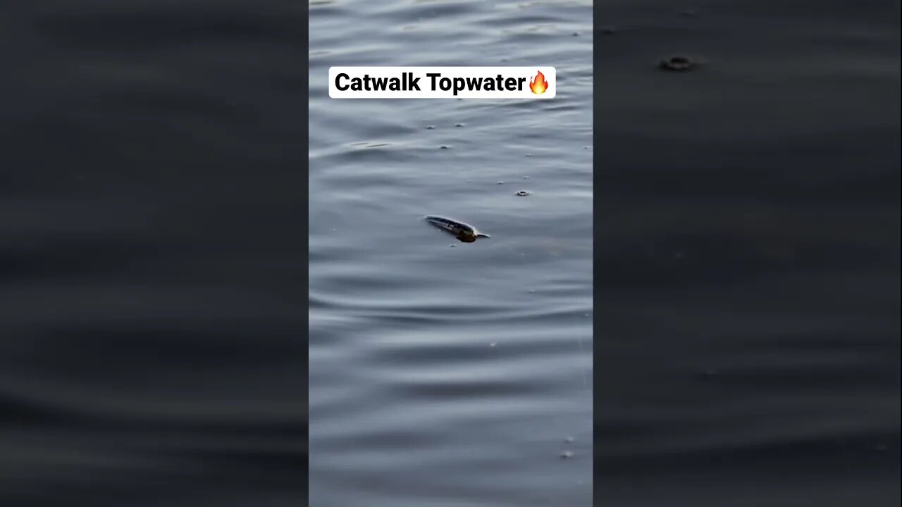 Catwalk Topwater Explosion