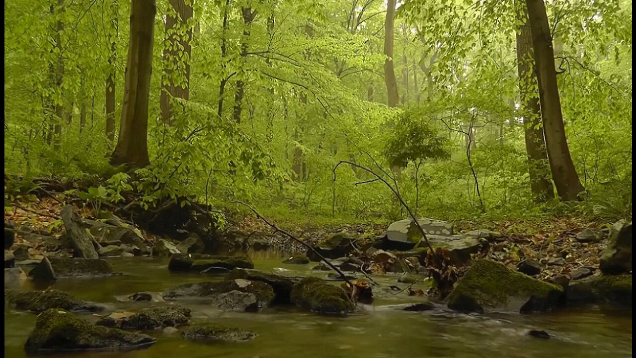 Streams-Beautiful Relaxing Music and Video for Stress Relief