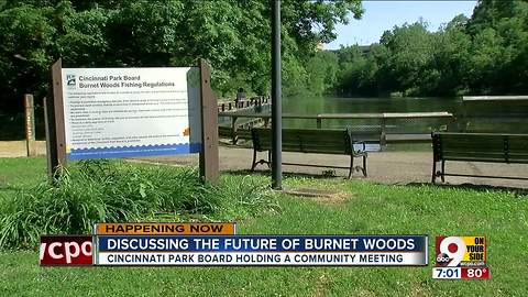 Discussing the future of Burnet Woods