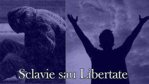 Sclavie sau Libertate cu un om de afaceri Anonim - Părere Obiectivă #05 (11 Septembrie 2021)