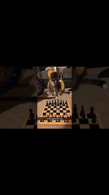 onilthegreat #shorts