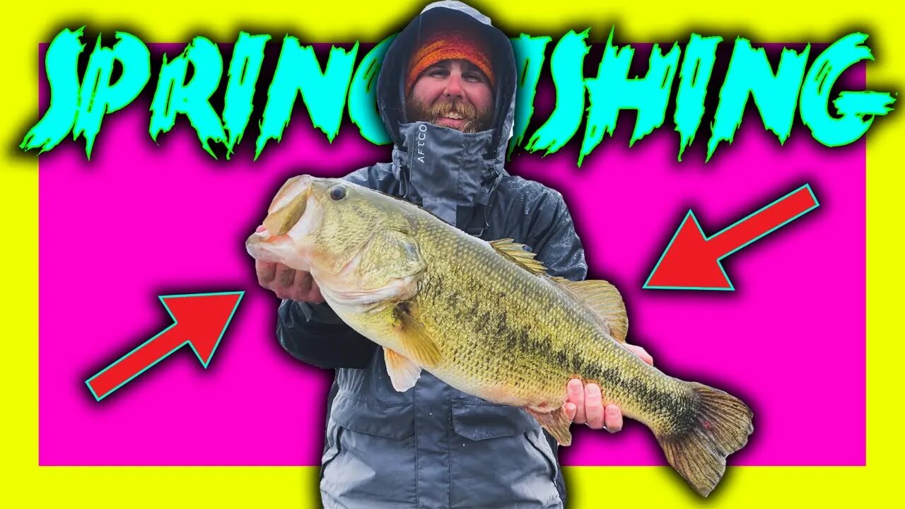 Let's Talk SPRING BASS FISHING!