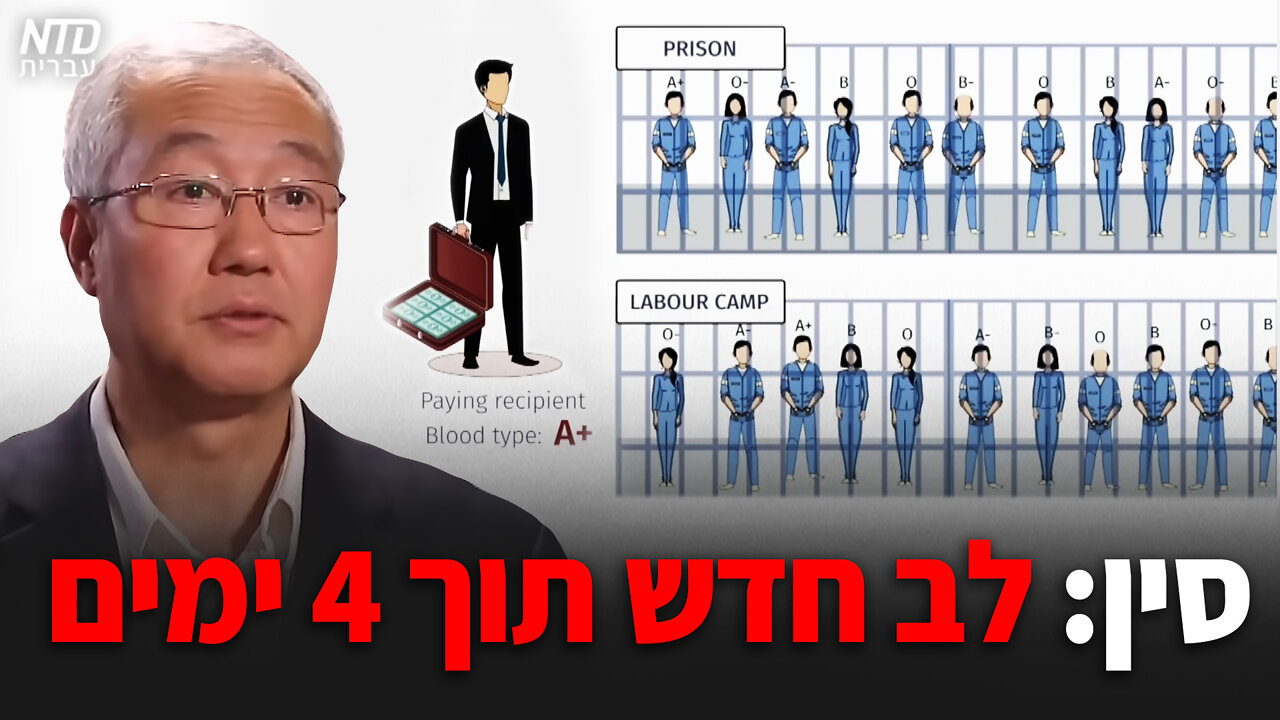 סין: לב חדש תוך 4 ימים