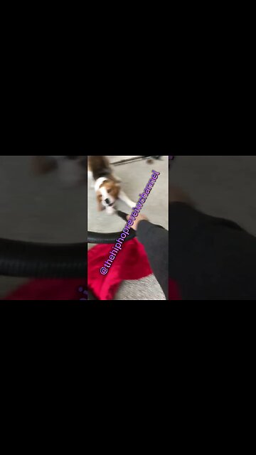 How it Feels Trying to Grow a Community! #ukrap #usrap #trap #hiphop #drill #rap #trap #musicreviews