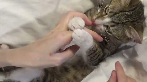 Taking a Bite of My Hooman