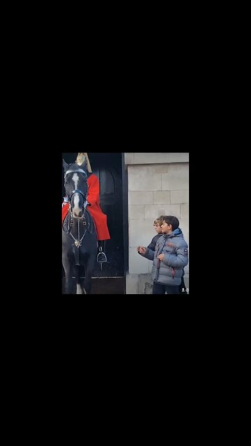Run 😆 🤣 😂 #horseguardsparade