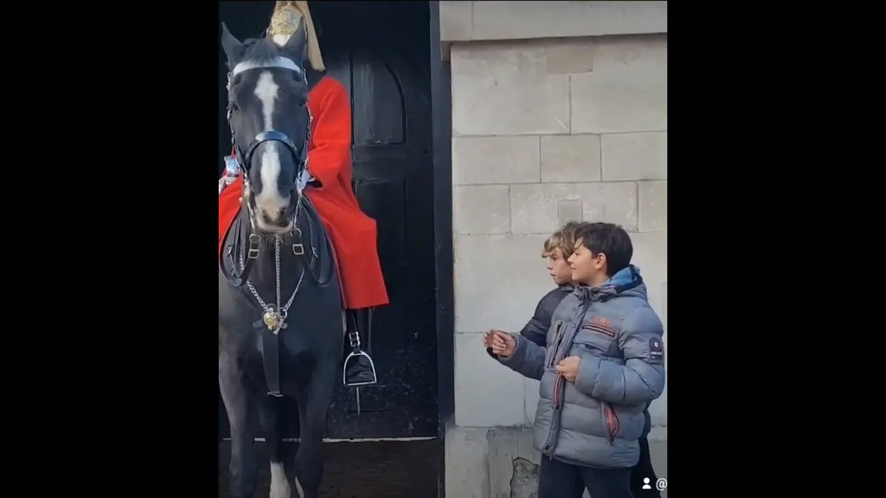 Run 😆 🤣 😂 #horseguardsparade