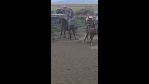 Cowboy fun