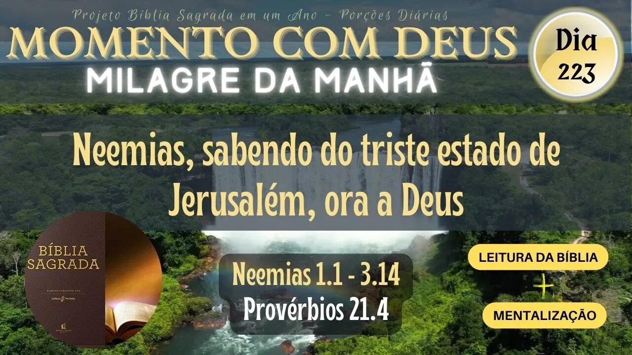 MOMENTO COM DEUS - MILAGRE DA MANHÃ - Dia 223/365 #biblia