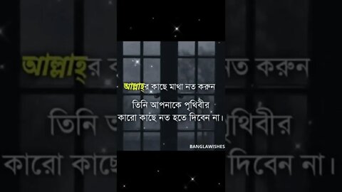 আল্লাহর কাছে মাথা নত করুন, তিনি আপনাকে পৃথিবীর কারো কাছে নত হতে দিবে নাহ।