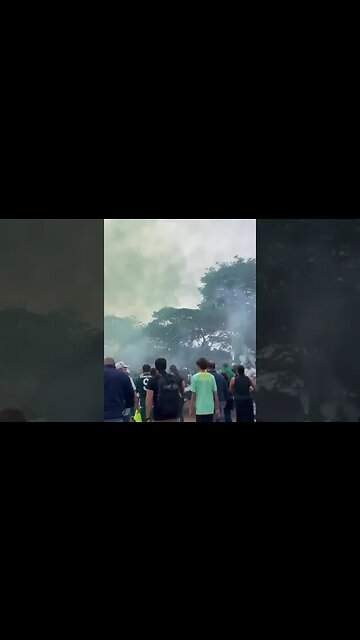Torcida do Palmeiras no enterro da jovem Gabriela Anelli, de 23 anos