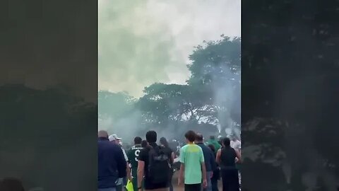 Torcida do Palmeiras no enterro da jovem Gabriela Anelli, de 23 anos