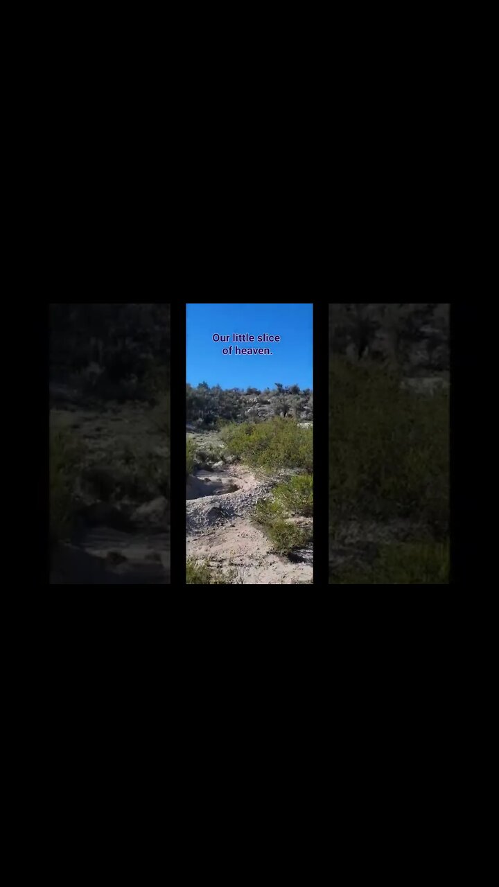 After 8 days of driving, we made it to our little slice of heaven.