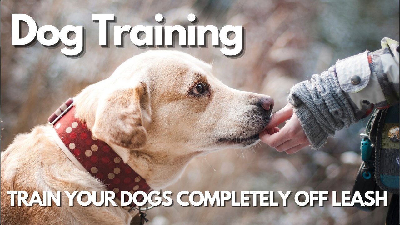 TRAIN YOUR DOGS COMPLETELY OFF LEASH!