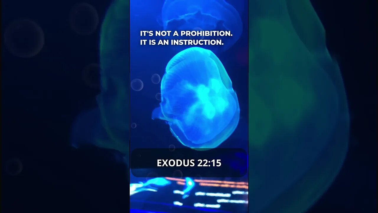 The truth about sex in Exodus 22:15