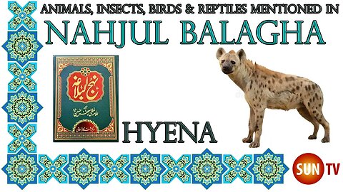 Hyena - Animals, Insects, Reptiles & Amphibians mentioned in Nahjul Balagha (Peak of Eloquence)