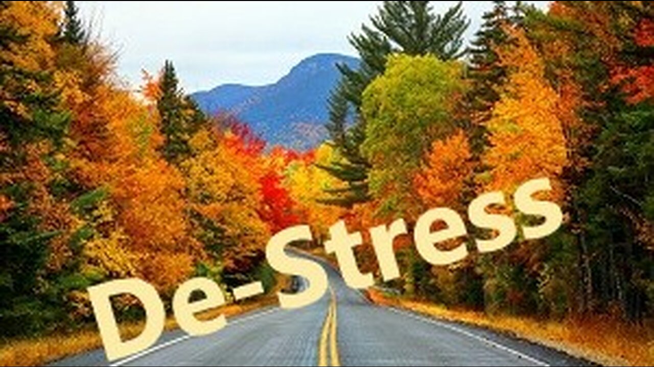 7 Hours of Enchanting Autumn, Nature Scenes, Bird Songs & Relaxing Jazz Music for Stress Relief